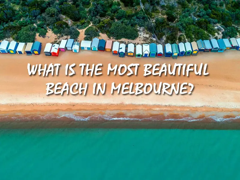 15 Best Beaches In Melbourne For You To Enjoy Throughout The Year