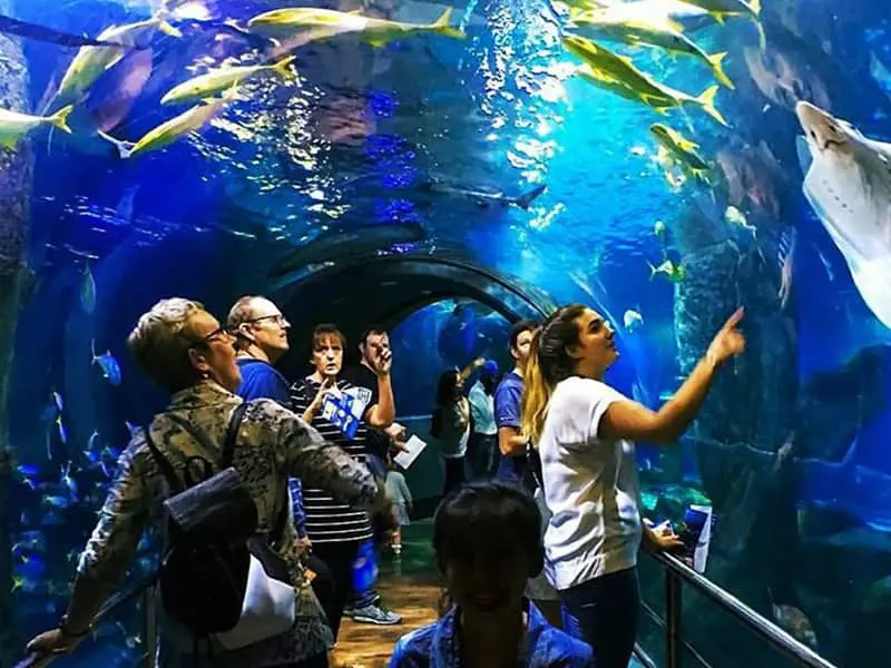 Melbourne-aquarium-min.jpg Melbourne aquarium
