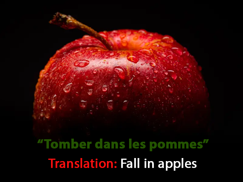 50+ Popular French Sayings And Expressions