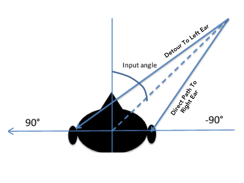 The image shows the process of sound localisation The image shows the process of sound localisation