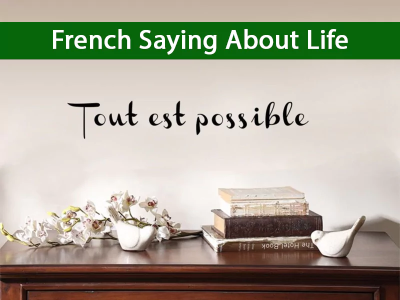 French Saying About Life French Saying About Life
