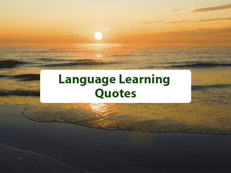 Language Learning Quotes Language Learning Quotes