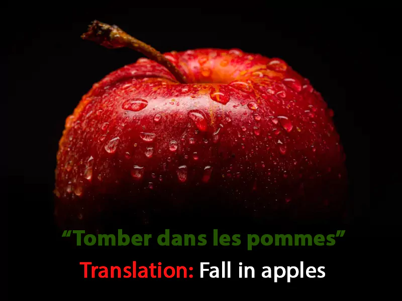 Translation: Fall in apples Translation: Fall in apples