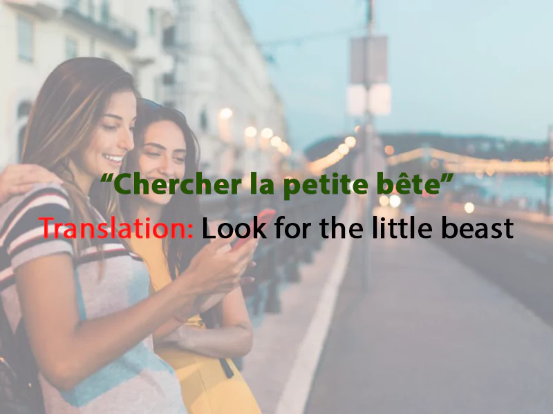 Translation: Look for the little beast Translation: Look for the little beast</p>
<p>