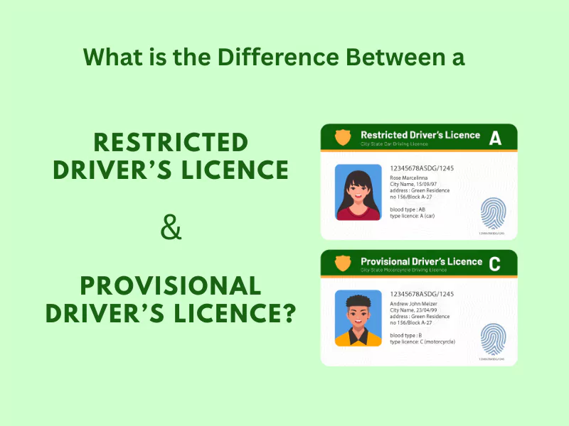 What is the Difference Between a Restricted Driver’s Licence & Provisional Driver’s Licence Comparing restricted and provisional driver’s licences, highlighting differences in licensing types and translation process