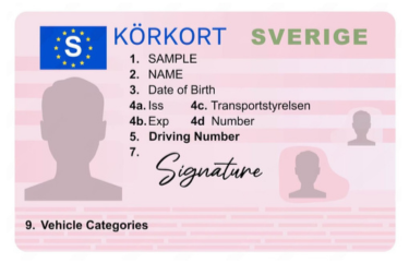 Italian Driver’s Licence Translation
