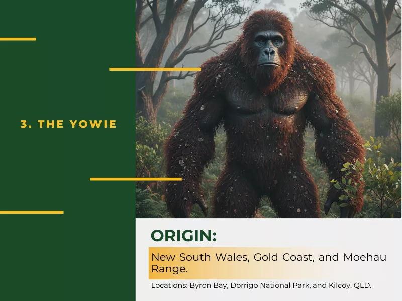 Australia’s Hominid Equivalent to Bigfoot<br />
