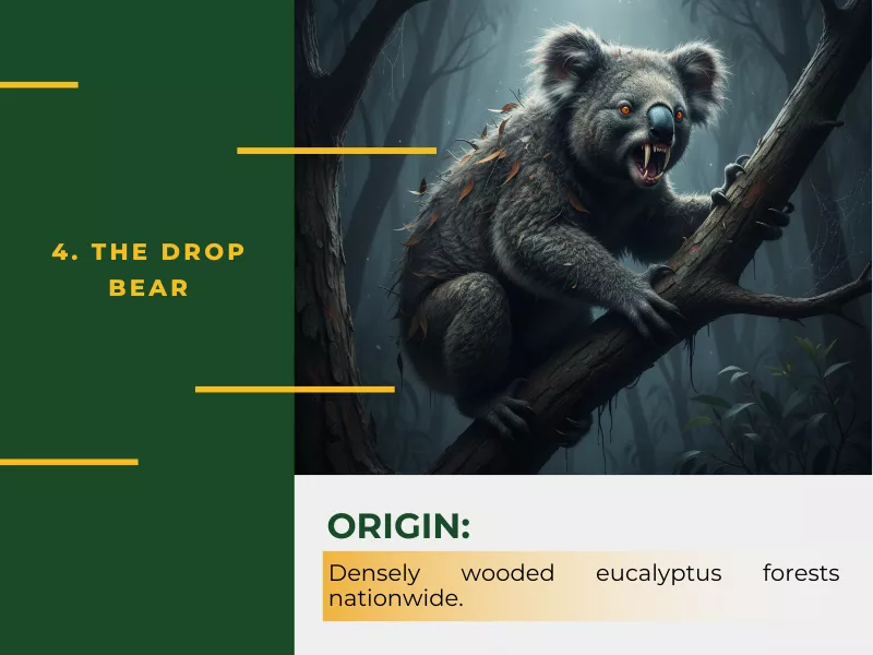  The Drop Bear – Australia’s Notorious Arboreal Prank<br />
