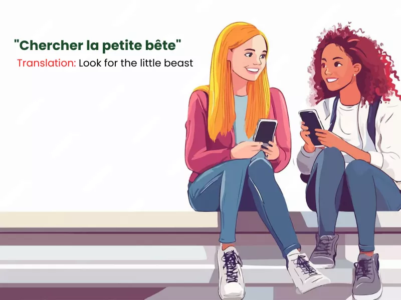 French sayings guide for chercher la petite bête meaning to look for the little beast
