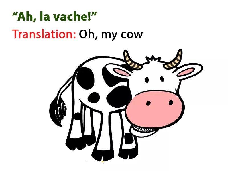  Illustration for popular French sayings like Ah la vache meaning oh my cow or wow