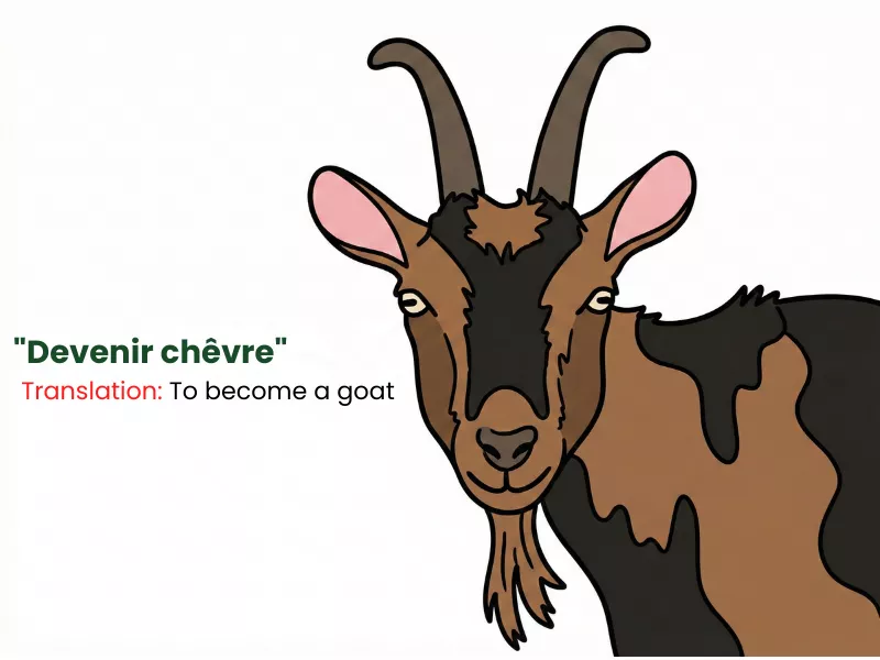 To become a goat idiom from a list of funny French sayings and expressions
