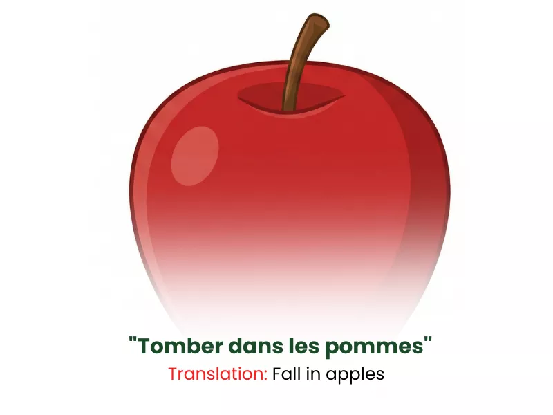 To fall in apples or faint idiom from common French sayings and phrases