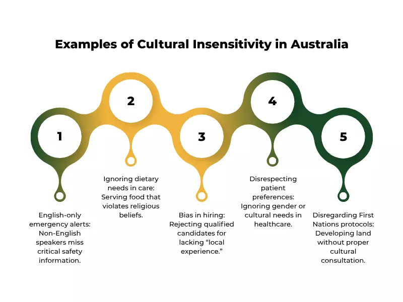 an infographic with 5 examples of cultural insensitivity