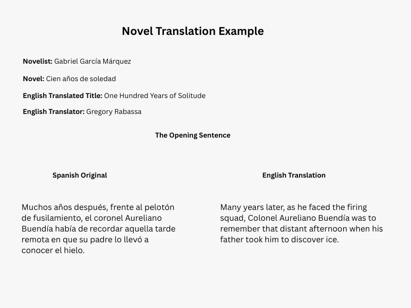 Image with an example of novel translation with original spanish text and English translation.